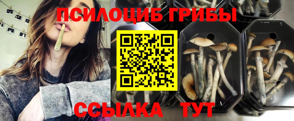 цена   Вход с VPN  Сосновый Бор  Галлюциногенные грибы MAGIC MUSHROOMS 