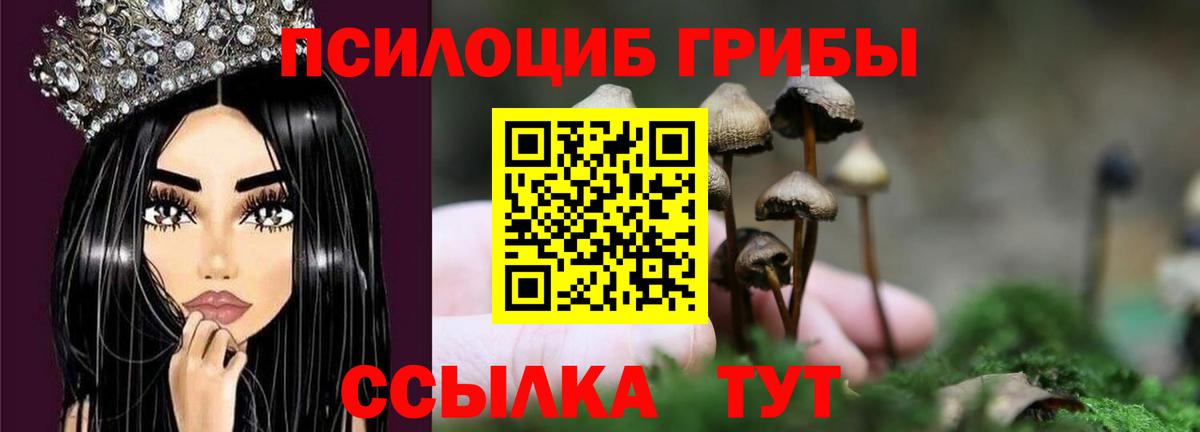 Галлюциногенные грибы MAGIC MUSHROOMS Сосновый Бор